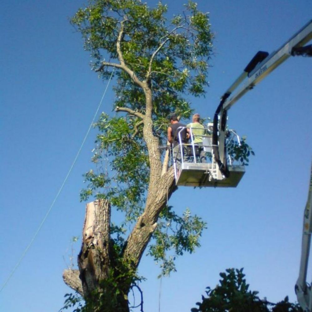 paysagiste jardi'déco a crouy