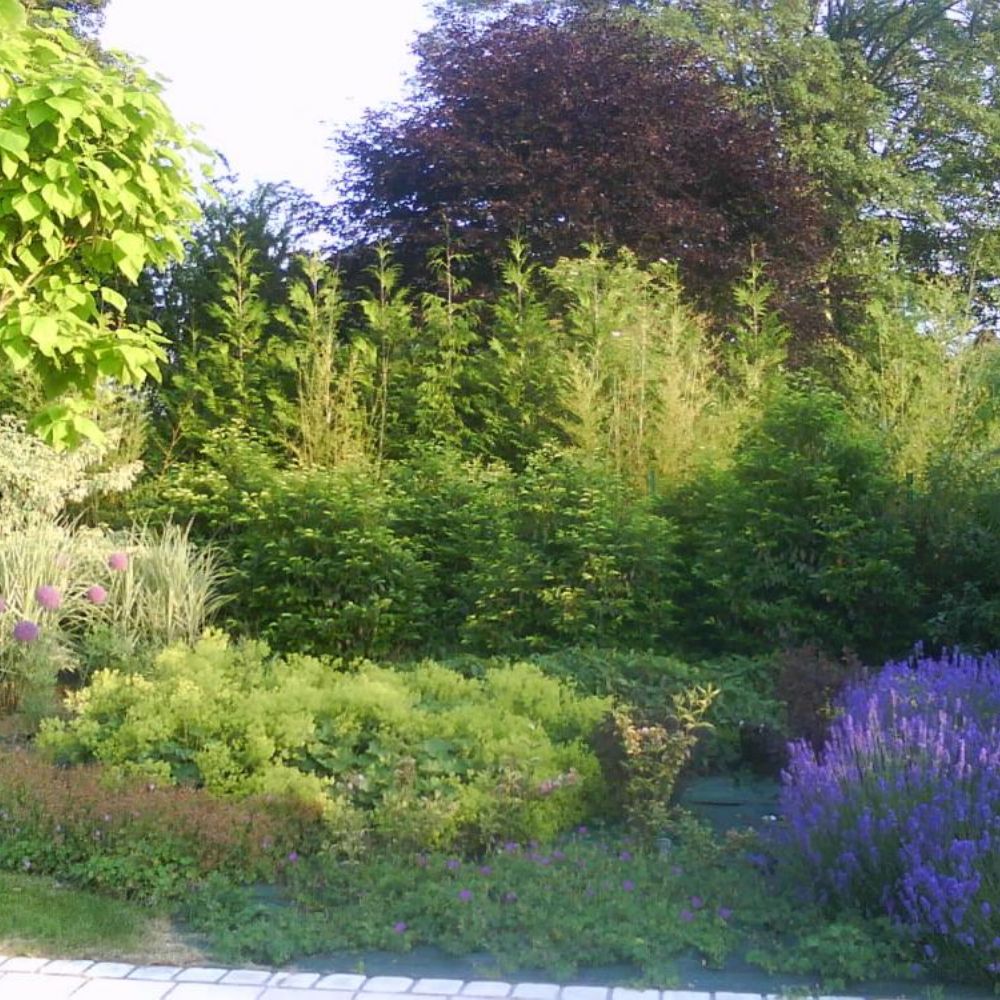 paysagiste jardi'déco a crouy