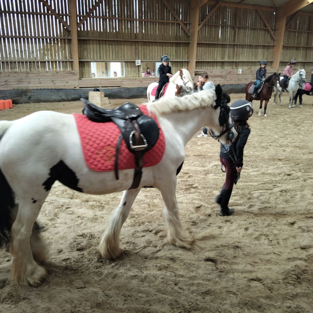 Les Ecuries de Vendielo a crouy